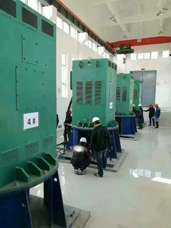 湘潭某污水处理厂使用我厂的立式高压电机安装现场