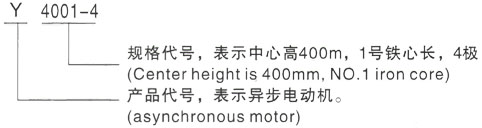 西安泰富西玛Y系列(H355-1000)高压湘潭三相异步电机型号说明